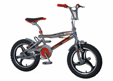 16"freestyle bicycle